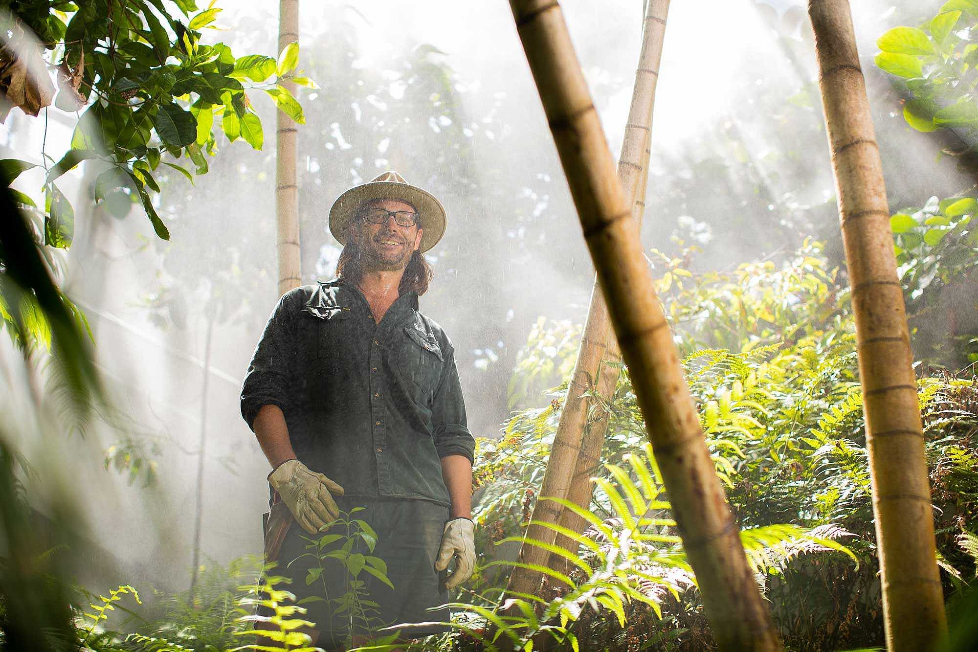 Forest Operations apprentice working in rainforest setting